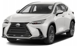 Lexus NX 250 Premium 2024