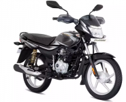 Platina 100 ks  2024