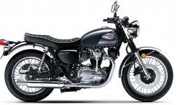 Kawasaki W800 2024