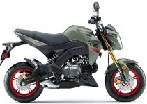 Kawasaki Z125 PRO 2024