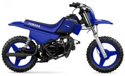 Yamaha PW50 2023