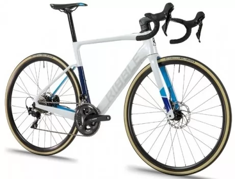 ribble endurance sl e for sale